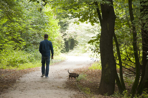 Spaziergänger mit Hund