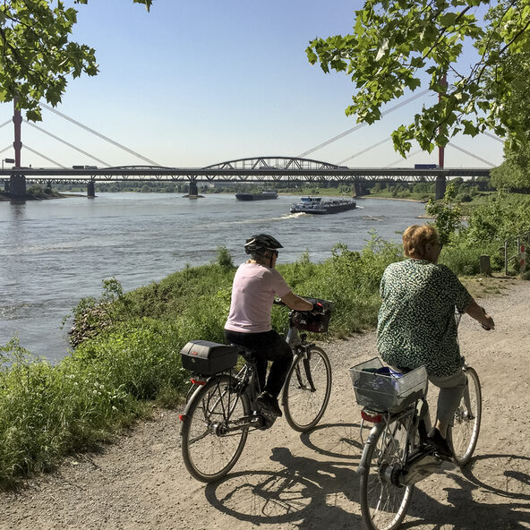 Älterer Mann und ältere Frau fahren mit dem Fahrrad am Rhein entlang