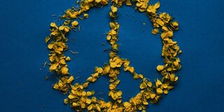 Peace-Zeichen gelb auf blauem Hintergrund