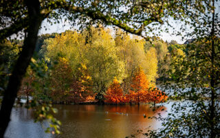 Herbstlicher Toeppersee