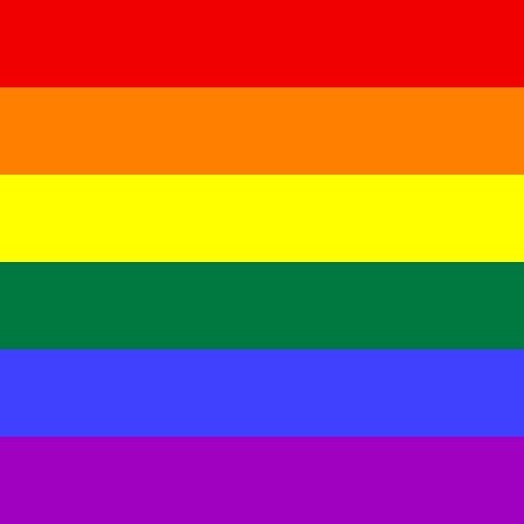 Zu sehen ist eine Flagge in den Farben des Regenbogens