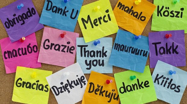 Pinnwand mit bunten kleinen Zetteln auf den in verschiedenen Sprachen Danke steht; Thank you, obrigado, Dank U, Merci, mahalo, köszi, takk, kiitos, mauruuru, gracias, dekuju