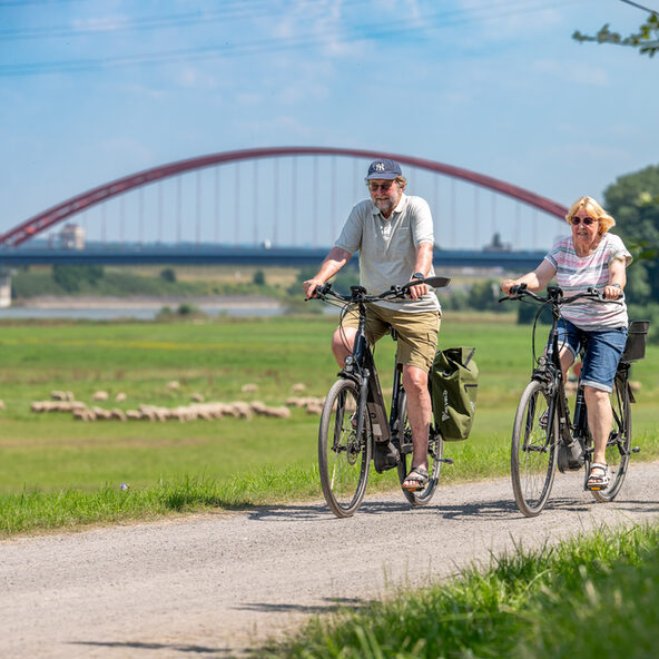 Zwei Radfahrer auf dem Radweg am Rheindeich
