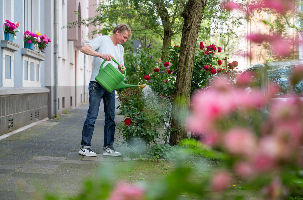 Gießkannen im Einsatz