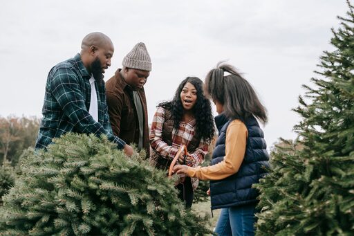 Familie sägt sich einen Weihnachtsbaum ab