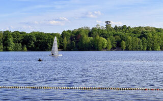 Segler auf dem Wolfssee